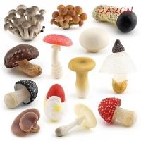 ราคา DARON เชื้อราตุ๊กตา ผักจําลองประดิษฐ์เห็ด DIY Farming ของเล่นภูมิทัศน์ Miniatures Matsutake Oyste พืชเชื้อรารุ่นตกแต่งสวน (52764949181)