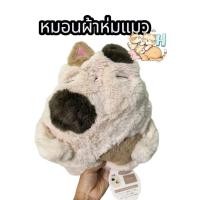 ราคา ตุ๊กตา หมอน ผ้าห่ม รูปแมวแบรนด์แท้ (54857373640)