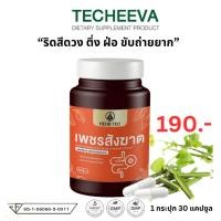 ราคา HERB TEC เพชรสังฆาต ริดสีดวง Hemorrhoids ติ่งยื่น ยุบ แห้ง ฝ่อ ท้องผูก ขับถ่ายยาก ริดสี 30 แคปซูล (28484805509)