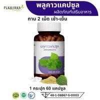 ราคา Puree Herb ภูรีเฮิร์บ พลูคาว แคปซูล อาหารเสริม 1 ขวด 60 แคปซูล ผิวหนัง ผด ผื่น คัน แพ้ เชื้อรา (27218066785)