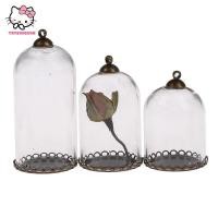 ราคา strysingoin โถแสดงแก้วตุ๊กตาพร้อมฐานลูกปัดหมวกแก้ว Vials จี้ขวดแก้ว TH (48005892997)