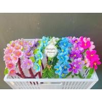 ราคา มงกุฎดอกไม้ มงกุฎใส่ถ่ายรูปงานรับปริญญา งานแต่งงาน (51409250663)
