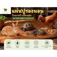 ราคา แผ่นปูรองนอน ใยมะพร้าวอัดแผ่น กระต่าย เต่า งู ไก่ไข่ นก สำหรับสัตว์เลี้ยง (54512107655)