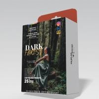 ราคา Dark Forest 25โทน ฟิลเตอร์แต่งภาพพรีเมี่ยม Lightroom Pro Grade Edits Crafted By CloudCrafts 4GB USB Free (40007486343)