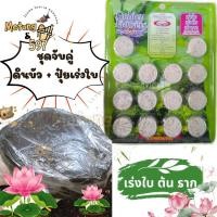 ราคา ชุดจับคู่ ดินบัว ปุ๋ยบัว ดินปลูกบัว ดินเหนียวอย่างดี ดินปลูกไม้น้ำ ดินขนาด 2 kg สารอาหารครบถ้วน (54261915728)