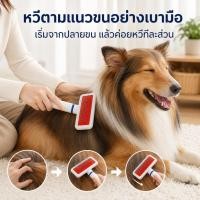 ราคา แปรงกรูมมิ่งสัตว์เลี้ยง สำหรับดูแลขนที่บ้าน ใช้ได้ทั้งสุนัขและแมว (50665553779)