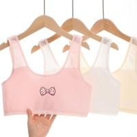ราคา สวมใส่น่ารัก เสื้อกั๊กตาข่ายเด็กผู้หญิงชุดชั้นในพัฒนาการสาวหลอดด้านบนนักเรียนชั้นประถมศึกษาฤดูร้อน 2026 (57315835518)