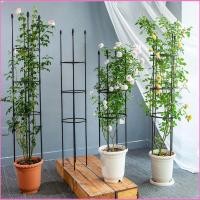 ราคา Luckyei Garden Staable Vertical Trellis สําหรับปลูกและดอกไม้ปีนเขาพืชสนับสนุนกันสนิม Pea กรอบกรงมะเขือเทศ TQ (57666274984)