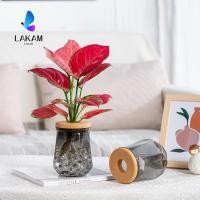 ราคา LAKAM กระถางไฮโดรโปนิกส์ กระถางดอกไม้แก้วเลียนแบบขนาดเล็ก เครื่องประดับตั้งโต๊ะบอนไซ กระถางต้นไม้โปร่งใส (54614336361)