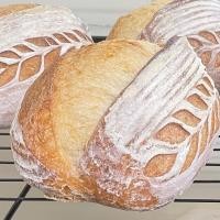 ราคา Sourdough bread natural starter Whole grain flour 650g before baking (45565487429)