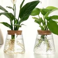 ราคา โปร่งใส Hydroponic เลียนแบบแก้วดอกไม้หม้อพืชสีเขียว Creative Mini Terrarium กระถาง Soilless บ้านแจกันแก้ว (52665066788)