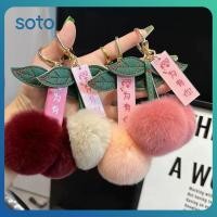 ราคา จี้ตุ๊กตาผ้ากำมะหยี่รูปเชอร์รี่ พวงกุญแจตุ๊กตาผ้ากำมะหยี่เลียนแบบ จี้ตกแต่งแฟชั่น Cod (52916158344)