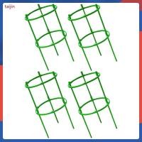ราคา ปีนผักมะเขือเทศพืชสนับสนุนไฟเบอร์กลาสพืชกรงสําหรับสวน Trellis taijin (49266125740)