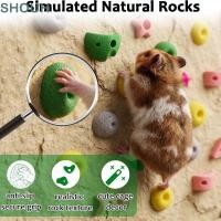 ราคา SHUH 16 ชิ้น Rock Climb Playset ของเล่นปีนเขาหนูแฮมสเตอร์แบบโต้ตอบประหยัดพื้นที่ แบบพกพา DIY Assembly Non Slip Rocks หนูแฮมสเตอร์เสริมของเล่นหนูแฮมสเตอร์กรงอุปกรณ์ (54215774905)