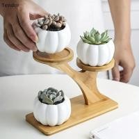 ราคา ที่ต้องการ ชั้นวางไม้ไผ่ 2 ชั้นสําหรับ Home Officepact Design Perfect สําหรับ Home และ Office Desktop และระเบียง Decor Organizer ขาย (43980808857)