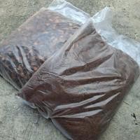 ราคา กาบมะพร้าว ขุยมะพร้าว พร้อมใช้ แช่น้ำแล้ว ล้างสารแทนนิน Tannin ออกแล้ว (54465042310)