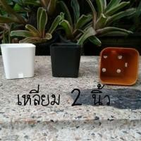 ราคา กระถางต้นไม้ 2 นิ้ว ทรงเหลี่ยมเนื้อหนา ใบละ 2 บาท (1121406648)