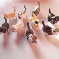 ราคา โมเดลแมว ตุ๊กตาแมวหลายลายสี เดอะแก๊งแมวเหมียว โมเดลสัตว์ ตุ๊กตาจิ๋วตกแต่ง (17991577054)