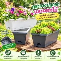 ราคา ความจุใหญ่พิเศษ กระถางต้นไม้ยาว กระถางทรงสี่เหลี่ยม กระถางดอกไม้ พร้อมถาด ตกแต่งระเบียง (55814964939)