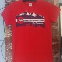 ราคา เสื้อยืดมือสอง Colorado State University Pueblo สีแดง ไซส์ S ผ้า Gildan Heavy Cotton แท้ 100 (55017438916)