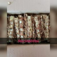 ราคา หญ้าหวานอิสราเอลพันธ์เตี้ยใบดก เหมาะสำหรับสัตว์เลี้ยง (20371541901)