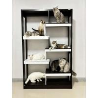 ราคา Besta บ้านแมว คอนโดแมว ชั้นวางเอนกประสงค์เดอะเทรนเนอร์ ชั้นวางหนังสือ (11292231811)