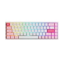 ราคา คีย์บอร์ด Akko 3068B Prunus Lannasiana (1165)