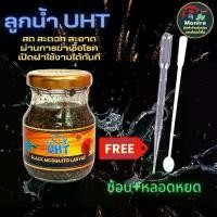 ราคา COD อาหารปลา ลูกน้ำ UHT อาหารปลากัด อาหาร ปลาสวยงาม อาหารปลาหางนกยูง ปลาม้าลาย ปลานีออน ปลาทอง (1731546162578818968)