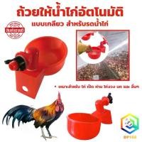 ราคา จัดส่งที่รวดเร็ว ถ้วยให้น้ำไก่อัตโนมัติ แบบเกลียว สําหรับรดน้ำไก่ เหมาะสำหรับ ไก่ เป็ด ห่าน ไก่งวง นก และ อื่นๆ (1731387212669486577)