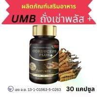 ราคา อาหารเสริม ถั่งเช่าพลัส UMB ยูเอ็มบี 1 ขวด 30 แคปซูล ถั่งเช่า cordyceps ถั่งเช่าสกัด (1729646002604378711)