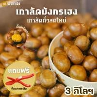 ราคา เกาลัดคั่ว 3 กิโล แถมฟรี ที่แกะเกาลัด เกาลัดมังกรเฮง เกาลัดญี่ปุ่นแท้ คั่วสดใหม่ทุกออเดอร์ (1729658802664540411)