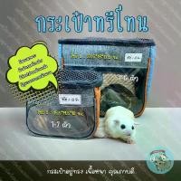 ราคา V ( กระเป๋าทรีโทน ) กระเป๋าตาข่าย กระเป๋าพกพา กระเป๋าชูการ์ เปลนอน ชูการ์ กระรอก แฮมสเตอร์ ดอร์เมาส์ นก (1729651778398292740)