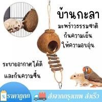 ราคา [COD] บ้านกะลา บ้านชูก้า บ้านกะลามะพร้าว บ้านกระรอก บ้านนกแก้ว สำหรับ นก หนู ซูการ์ กระรอก สัตว์เล็ก ระบายอากาศได้ดี (1731597363337462950)