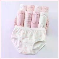 ราคา DennyRFVSHOP สไตล์เดียวกับสมอ กางเกงในเด็กหญิง เด็กโต/เด็กเล็ก/Girl/Children/underwear ผ้าฝ้ายแท้100% แพค4ตัว underwear/2-13ขวบแบบมีขา คละสีคละลาย (1729714166036400394)
