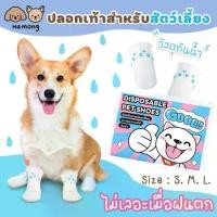 ราคา big dog ฮอม❣:ผ้าพันแผล ผ้าล็อค ปลอกเท้าสำหรับสัตว์เลี้ยง ที่หุ้มเท้าแมว ถุงเท้าหมา รองเท้าใช้แล้วทิ้ง สัตว์เลี้ยง (1731203122288494052)