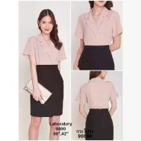 ราคา *Laboratory* 8690#เสื้อทำงาน เสื้อสมัครแอร์ ทรงคอปกสูทแขนสั้น ไซส์ 36,38,42 ผู้หญิง Women Clothing กระโปรงนักเรียนศึกษา เสื้อนักศึกษาผู้หญิง ชุดนักศึกษาผู้หญิง เสื้อเกิดโรงพยาบ (1731326252260821470)