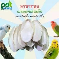 ราคา อาหารนก ลิ้นทะเล กระดองปลาหมึก แหล่งแคลเซียมสำหรับนก กระดูกปลาหมึก อาสำหรับนก แคลเซียมนก ขนมนก อาหารเสริมสำหรับนก (1729590122154986002)