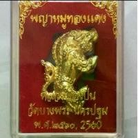 ราคา พญาหมูทองแดง วัดบางพระ (หลวงพ่อเปิ่น) จ.นครปฐม เนื้อทองทิพย์ (1729961084587313247)
