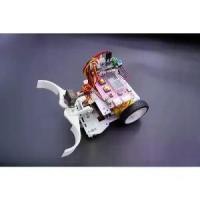 ราคา ชุดการเรียนรู้หุ่นยนต์ด้วยบอร์ดKidbright (Robot Learning Kit Kidbright Board) (1732296922702776676)