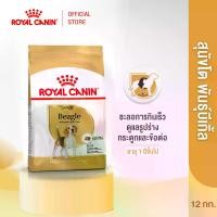ราคา Royal Canin Beagle Adult 12kg อาหารเม็ดสุนัขโต พันธุ์บีเกิ้ล อายุ 12 เดือนขึ้นไป (Dry Dog Food, โรยัล คานิน) (1730754574267025864)