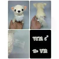 ราคา Chihuahua#ชิวาวา#ชิวาว่า#QueChan#Dog#หมา#ตุ๊กตาญี่ปุ่นมือสอง ลดราคาร้อนแรงประจำเดือนนี้ (1732239578012419625)