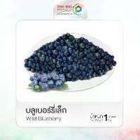 ราคา เดอะบิ๊กพี บลูเบอร์รี่แช่แข็ง (WILD) THE BIG P FROZEN BLUEBERRY (1730621285718854644)