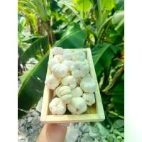 ราคา ส่งฟรี. ส่ง ปลีก มังคุดอบกรอบ มังคุดอบกรอบ มังคุดฟรีซดราย Freeze Dried Mangosteen (แบบเต็มลูก) มังคุด 100% ผลไม้อบแห้ง ผักอบกรอบ ผักผลไม้อบ (1731845252632578711)