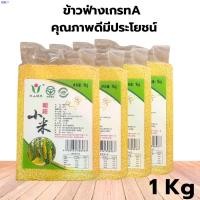 ราคา ovishop037 ข้าวฟ่าง ข้าวฟ่างแกะเปลือก พร้อมส่ง ขนาด1kg นิยมนำไปต้มโจ๊กข้าวฟ่าง ขนม ข้าวฟ่างเปียก บล็อกบัสเตอร์ ขาย ร้อน แนะนำวันนี้ สินค้าขายดี ที่นิยมมากที่สุด ขายดีประจำเดือนนี้ แนะนำ ขายดี (1732287