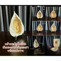 ราคา หน้าพระใบโพธิ์3D พระมองตาม พระใบโพธิ์ หันมองตามทุกองศา มี4สีให้เลือก มีกล่องพร้อมขาตั้ง พระพุทธรูป หิ้ง หลวงปู่สิงห์ ทอง ปภากโร เหรียญ แท้ สวย พ่อกวย ชุตินฺทโร (1731011793314548002)