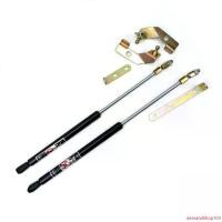 ราคา demandShop103 คุณภาพรับประกันได้ ชุดโช๊คค้ำฝากระโปรงหน้า ซ้าย+ขวา 2 ชิ้น สีดำ สำหรับ โตโยต้า Toyota Hilux Tiger D4D Mk4 ปี 1998-2004 Car รถยนต์ (1731616492929780283)