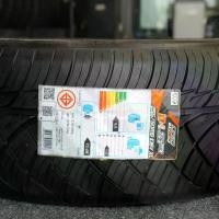 ราคา ยางLENSO 255/50R18 D-1SP (2023) (1730237656070130187)