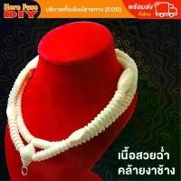 ราคา Thailand สร้อย สร้อยคล้องพระ สร้อยพระ สร้อยคอ สร้อยกระดูกช้าง สร้อยงาช้าง หัวขุน ทำจากกระดูกช้าง เนื้อสวยฉ่ำคล้ายงาช้าง ความยาวมาตรฐาน (ฺK1) (1731419829817345100)
