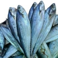 ราคา ปลาสีเสียด ไซส์กลาง 9-12 ตัวโล แพคละ ครึ่งกิโลกรัม เค็มกำลังพอดี ทอดได้ ปิ้งได้ หอม อร่อย เนื้อนุ่ม ปลา ปลาเค็ม ปลาสละ ปลาสีเสียด ตากแห้ง ปลาหลดนาตากแห้ง ใต้ แห้ง ปลาทู (1731395869735291798)