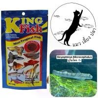 ราคา อาหาร ปลา บู่แคระ ไมโคร Micro (1731274145888109875)